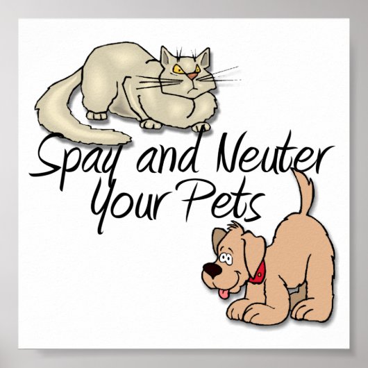 Spay und Neuter Ihre Haustiere Poster (Vorne)