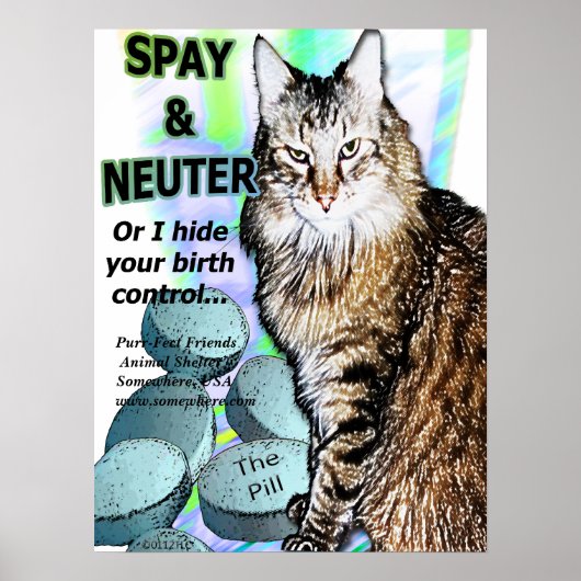 Spay und Neuter (Oder ich verstecke Ihre Kontrolle Poster (Vorne)