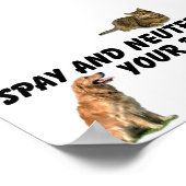 Spay und Neuter Poster (Ecke)