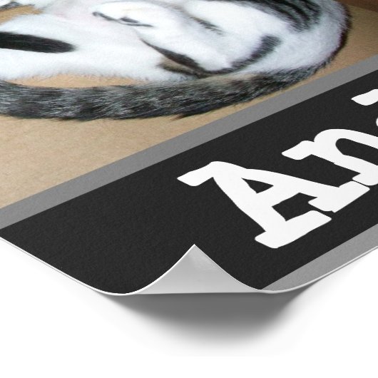 Spayed und stolz darauf poster (Ecke)