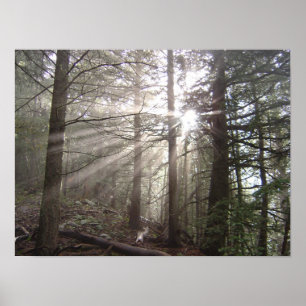 Spazieren durch die Wolken Poster