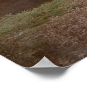 SPAZIEREN MIT BIGFOOT SASQUATCH - ICH WEISS 2 POSTER (Ecke)