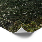 Spazieren Sie auf der Strandpromenade Poster (Ecke)