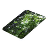 Spazieren Sie durch den Wald, Chester, South Carol Magnet (Linke Seite)