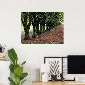 Spazieren Sie durch den Wald Poster (Heimbüro)