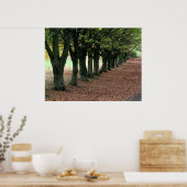 Spazieren Sie durch den Wald Poster (Küche)