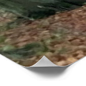 Spazieren Sie durch den Wald Poster (Ecke)