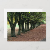 Spazieren Sie durch den Wald Postkarte (Vorne/Hinten)