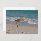 Spazieren Sie durch die Küste der Golfinseln Postkarte (Vorne/Hinten)