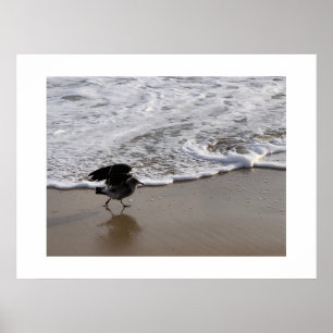 Spazieren Sie durch die Waves California Color Fot Poster