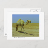 Spaziergang auf der langen Straße - Kamel auf der  Postkarte (Vorne/Hinten)