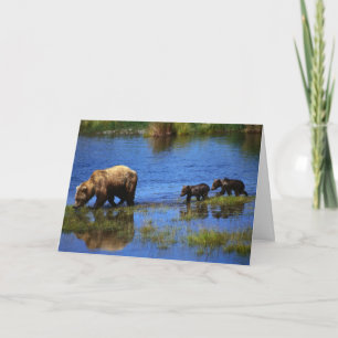 Spaziergang auf der wilden Seite Karte