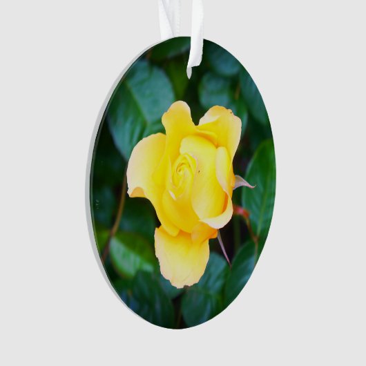 Spaziergang auf Sonnenschein Rose #1 Ornament (Vorderseite)