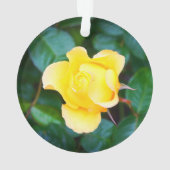 Spaziergang auf Sonnenschein Rose #1 Ornament (Rückseite)