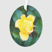 Spaziergang auf Sonnenschein Rose #1 Ornament (Vorderseite)