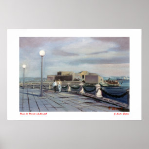 Spaziergang des Parrote ,(Zu Coruña) Poster