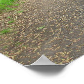 Spaziergang durch das Trassenplakat Poster (Ecke)