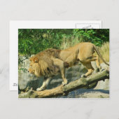 Spaziergang durch den Plank Postkarte (Vorne/Hinten)