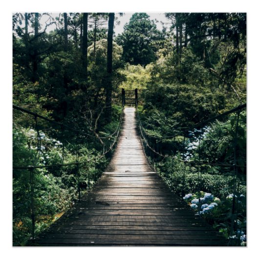 Spaziergang durch den Wald Poster (Vorderseite)