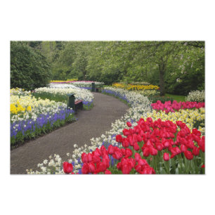 Spaziergang durch Tulpen, Narzissen und Fotodruck