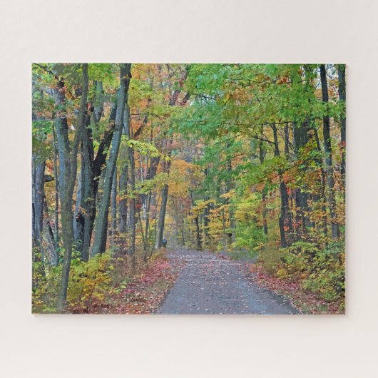 Spaziergang im Autumn Woods Design Puzzle (Horizontal)