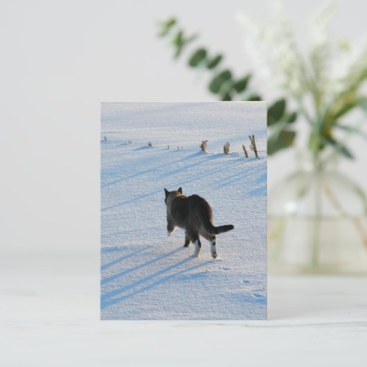 Spaziergang im Cornfield Postkarte (Stehend Vorderseite)