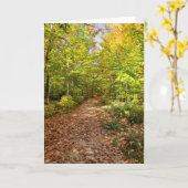Spaziergang in der Waldautobahn geklappte Grußkart Karte (Gelbe Blume)