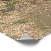 Spaziergang mit Bamboo Poster (Ecke)