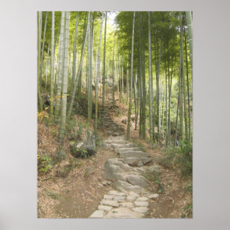Spaziergang mit Bamboo Poster
