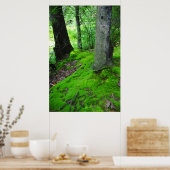 Spaziergänge im Nimisilla-Wald mit Bäumen Poster (Küche)