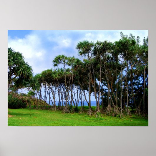 Spaziergänge zu Palmen in Hawaii Poster (Vorne)