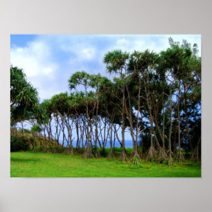 Spaziergänge zu Palmen in Hawaii Poster