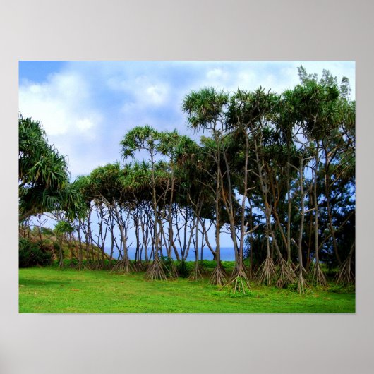 Spaziergänge zu Palmen in Hawaii Poster (Vorne)
