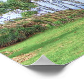 Spaziergänge zu Palmen in Hawaii Poster (Ecke)