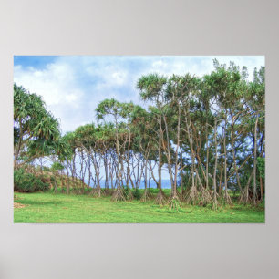 Spaziergänge zu Palmen in Hawaii Poster