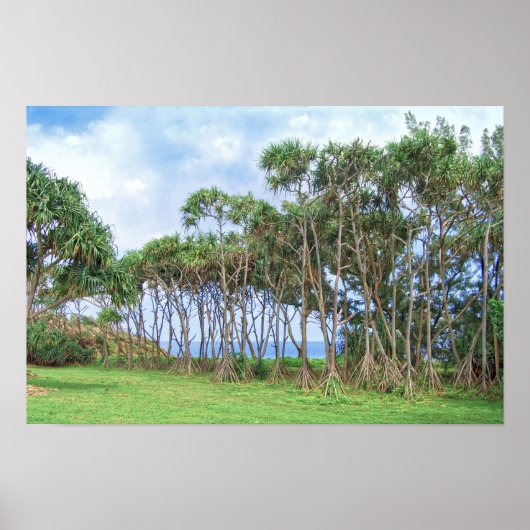 Spaziergänge zu Palmen in Hawaii Poster (Vorne)