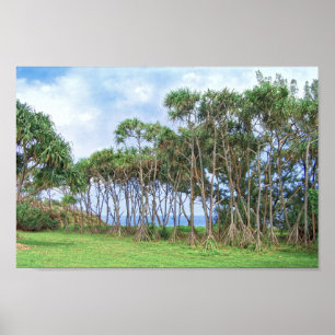 Spaziergänge zu Palmen in Hawaii Poster