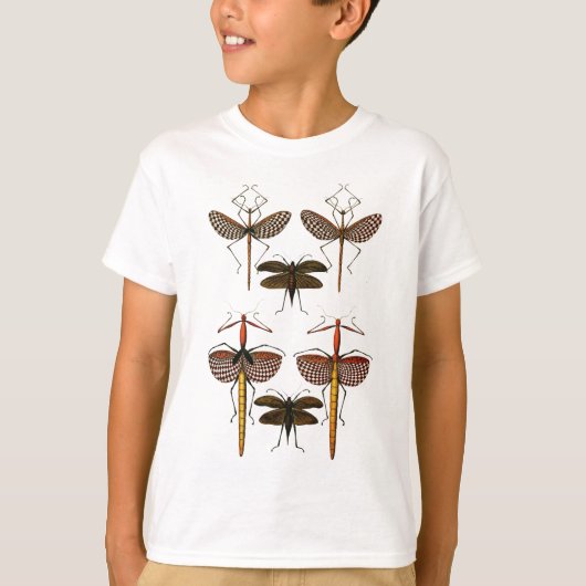 Spazierstöcke, Katydids und Libellen T-Shirt (Vorderseite)