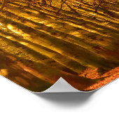 Spazierweg durch den Wald in Herbstposter Poster (Ecke)