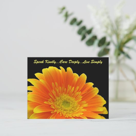 Speak Kindly Gerbera Postcard Postkarte (Stehend Vorderseite)