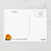 Speak Kindly Gerbera Postcard Postkarte (Rückseite)