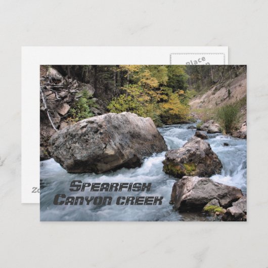 Spearfish Canyon Creek Postkarte (Vorne/Hinten)