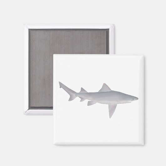 Spearzahnhai Magnet (Vorderseite/Rückseite)