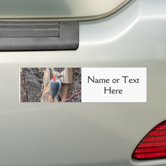 Specht an der Vogel-Zufuhr Autoaufkleber (Auf Auto)