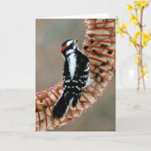 Specht Karte (Gelbe Blume)
