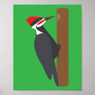 Specht Poster
