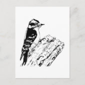Specht Postkarte (Vorderseite)