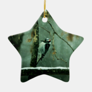 Specht-Schnee-Verzierung Keramik Ornament