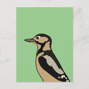 Specht Vogel Natur Kunst Postkarte