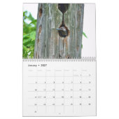Spechte Kalender (Jan 2027)